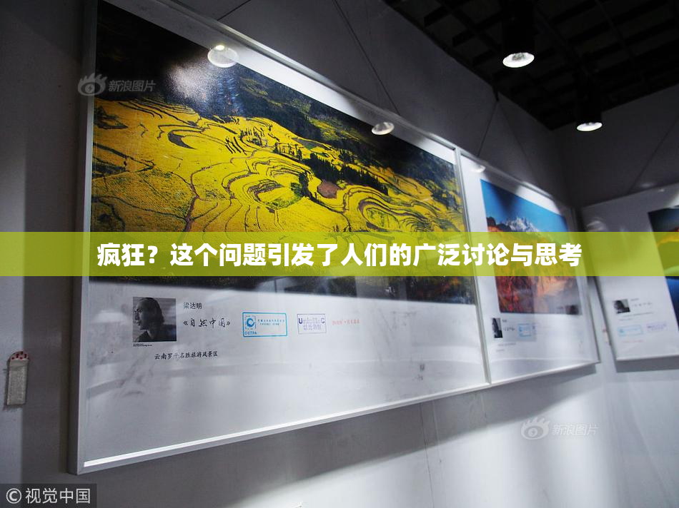 疯狂？这个问题引发了人们的广泛讨论与思考