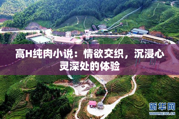 高H纯肉小说：情欲交织，沉浸心灵深处的体验