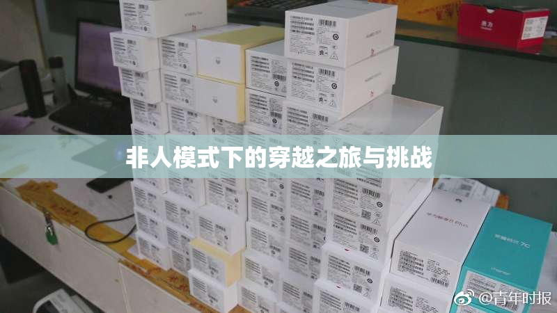 非人模式下的穿越之旅与挑战