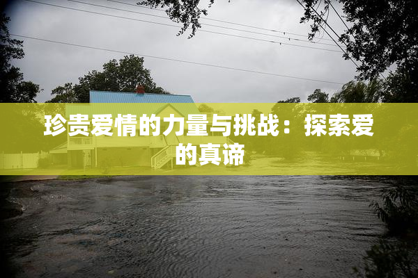 珍贵爱情的力量与挑战：探索爱的真谛