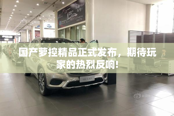 国产萝控精品正式发布，期待玩家的热烈反响!