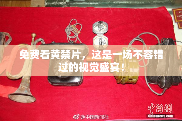 免费看黄禁片，这是一场不容错过的视觉盛宴！