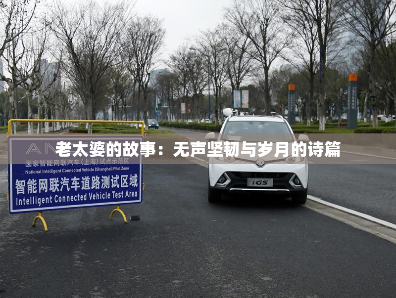 老太婆的故事：无声坚韧与岁月的诗篇