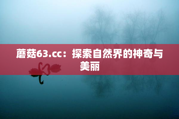 蘑菇63.㏄：探索自然界的神奇与美丽