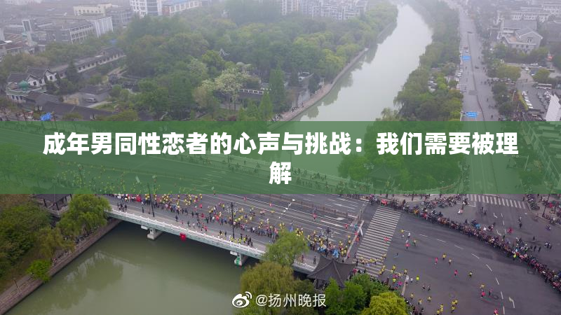 成年男同性恋者的心声与挑战：我们需要被理解