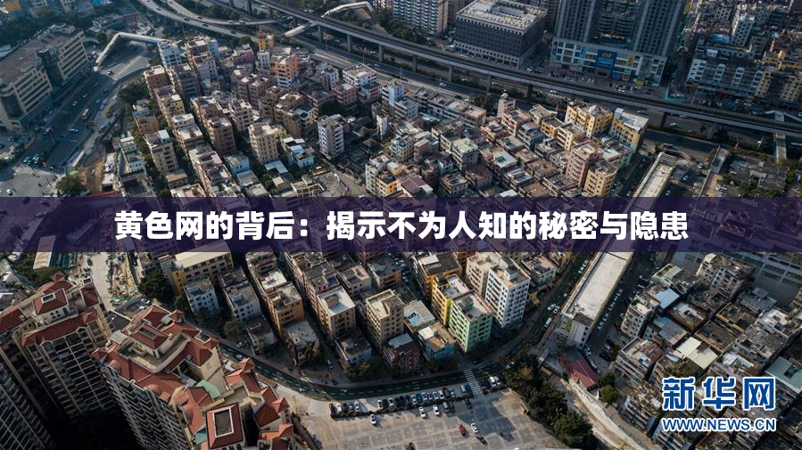 黄色网的背后：揭示不为人知的秘密与隐患