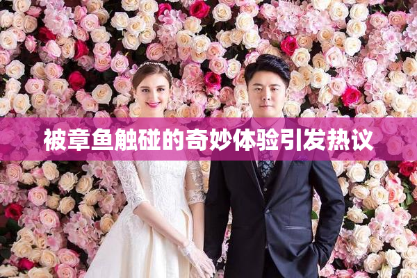 被章鱼触碰的奇妙体验引发热议