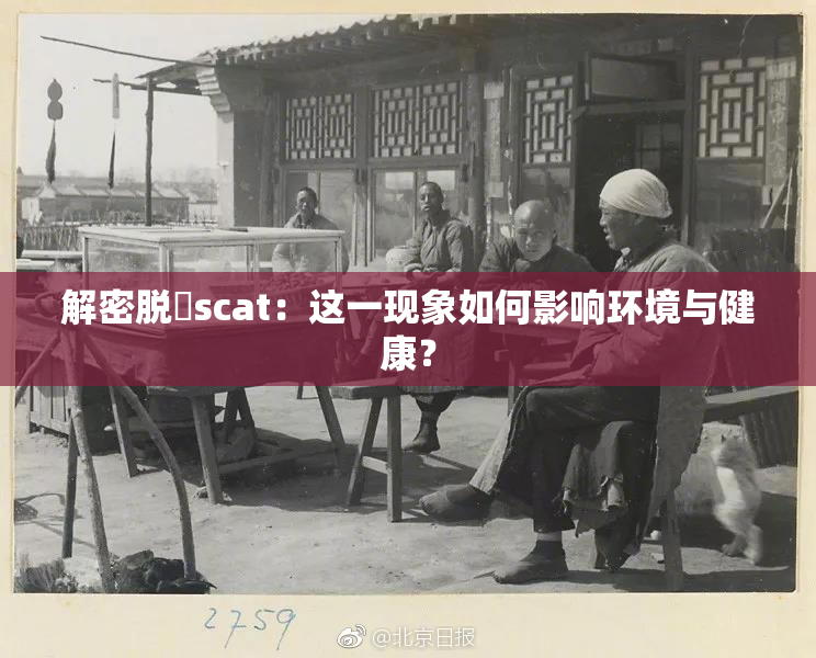 解密脱糞scat：这一现象如何影响环境与健康？