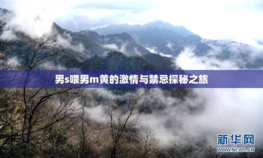 男s喂男m黄的激情与禁忌探秘之旅