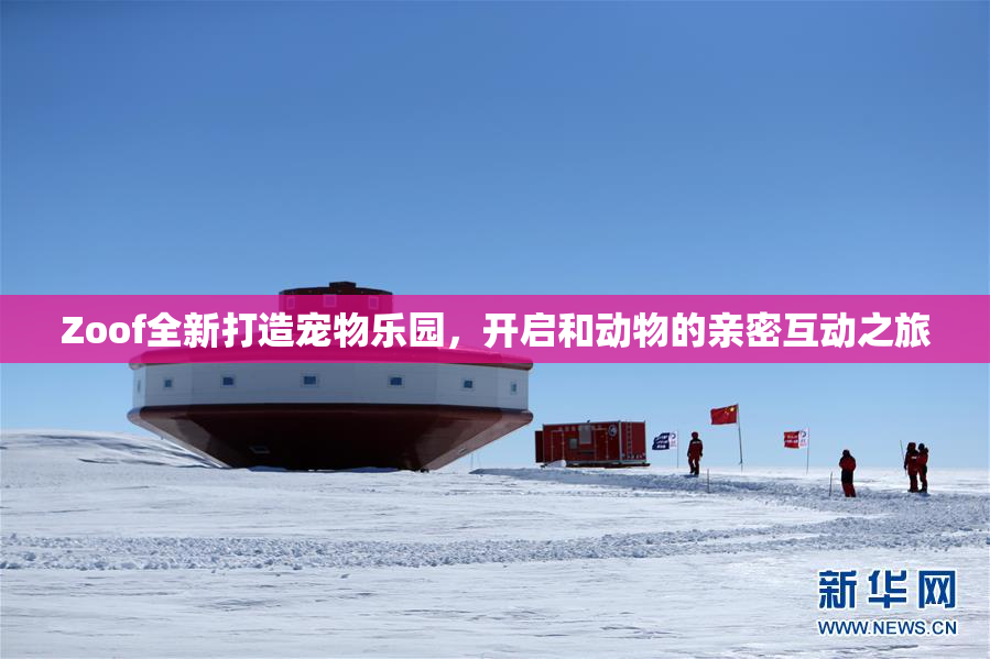 Zoof全新打造宠物乐园，开启和动物的亲密互动之旅