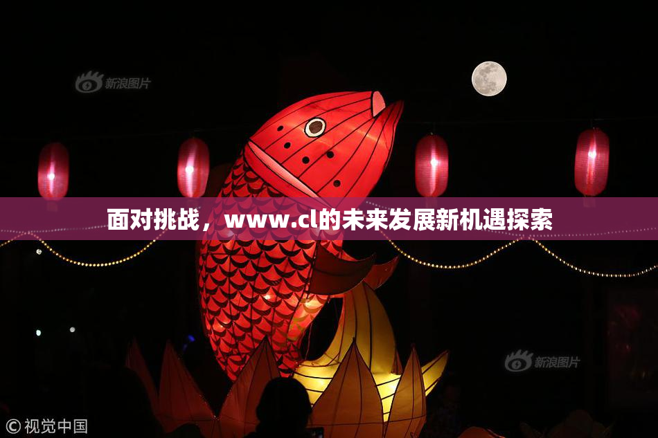 面对挑战，www.cl的未来发展新机遇探索