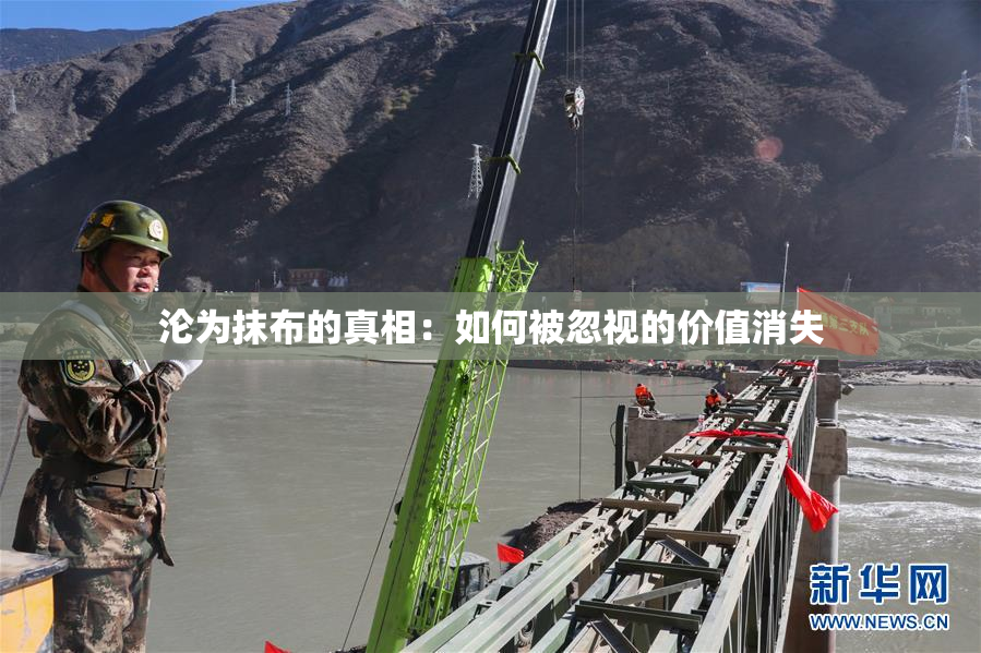 沦为抹布的真相：如何被忽视的价值消失