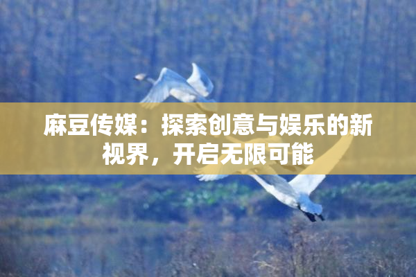 麻豆传媒：探索创意与娱乐的新视界，开启无限可能