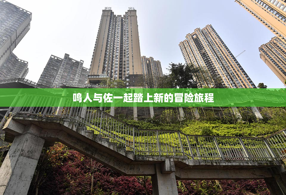 鸣人与佐一起踏上新的冒险旅程