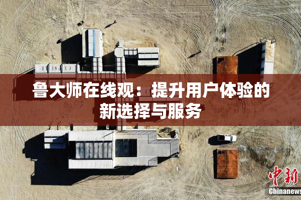 鲁大师在线观：提升用户体验的新选择与服务
