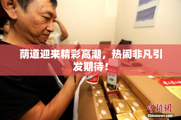 荫道迎来精彩高潮，热闹非凡引发期待！