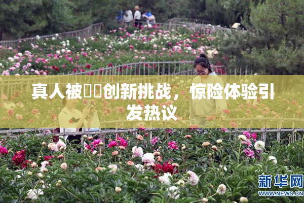 真人被❌‌创新挑战，惊险体验引发热议
