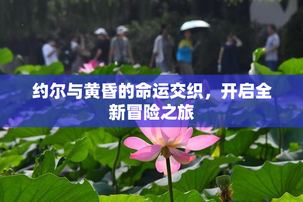 约尔与黄昏的命运交织，开启全新冒险之旅