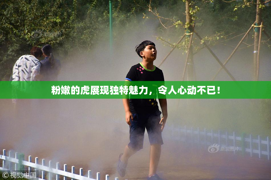 粉嫩的虎展现独特魅力，令人心动不已！