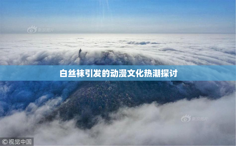 白丝袜引发的动漫文化热潮探讨