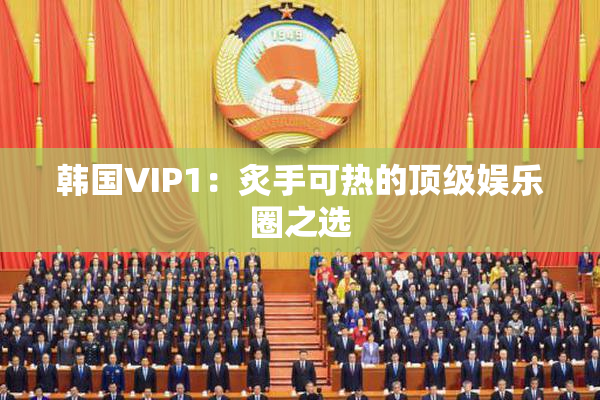 韩国VIP1：炙手可热的顶级娱乐圈之选