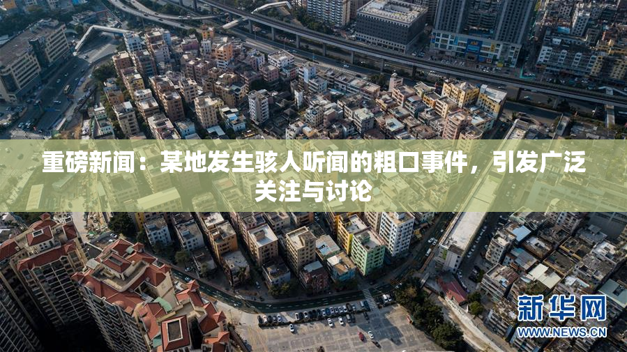 重磅新闻：某地发生骇人听闻的粗口事件，引发广泛关注与讨论