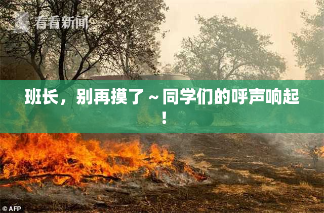 班长，别再摸了～同学们的呼声响起！