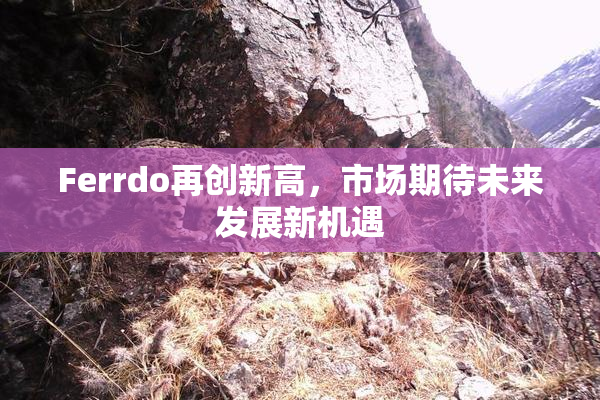 Ferrdo再创新高，市场期待未来发展新机遇