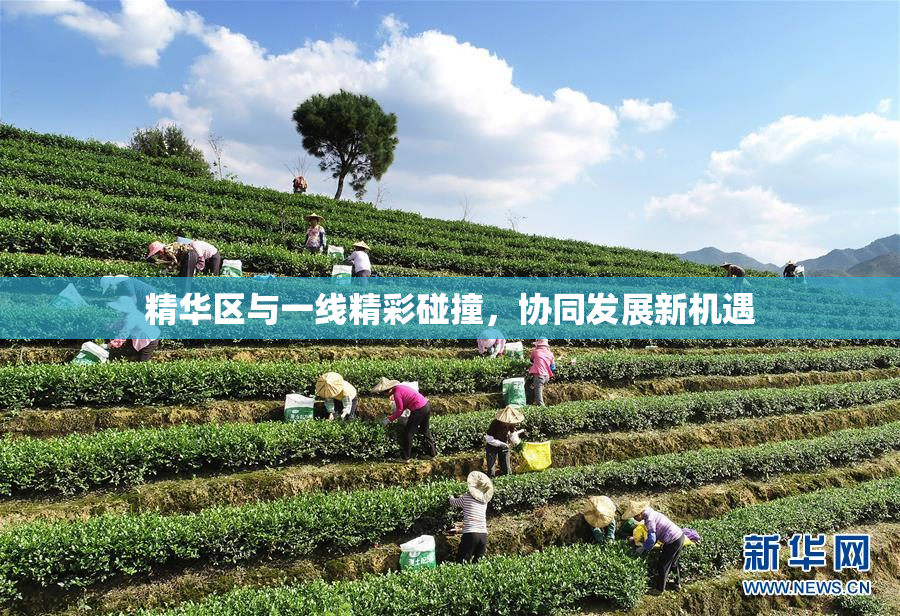 精华区与一线精彩碰撞，协同发展新机遇