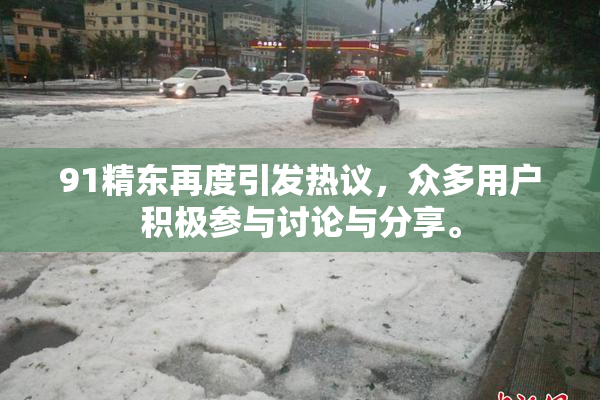 91精东再度引发热议，众多用户积极参与讨论与分享。