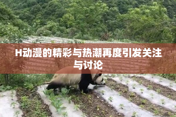 H动漫的精彩与热潮再度引发关注与讨论