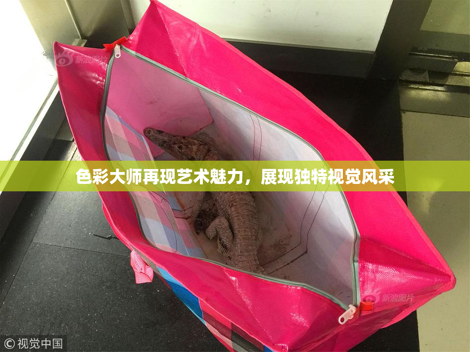 色彩大师再现艺术魅力，展现独特视觉风采