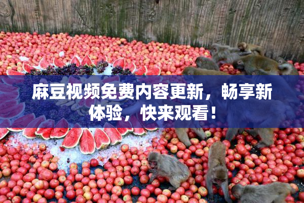 麻豆视频免费内容更新，畅享新体验，快来观看！