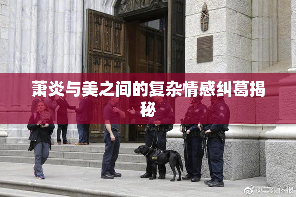 萧炎与美之间的复杂情感纠葛揭秘