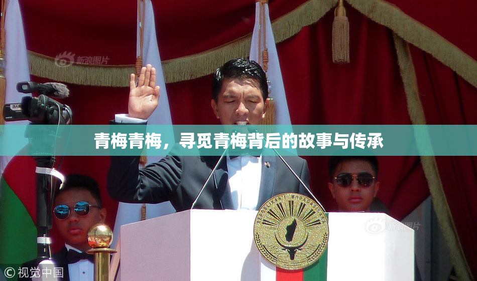 青梅青梅，寻觅青梅背后的故事与传承