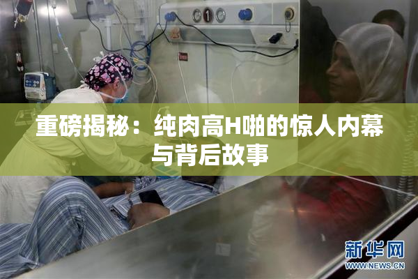 重磅揭秘：纯肉高H啪的惊人内幕与背后故事