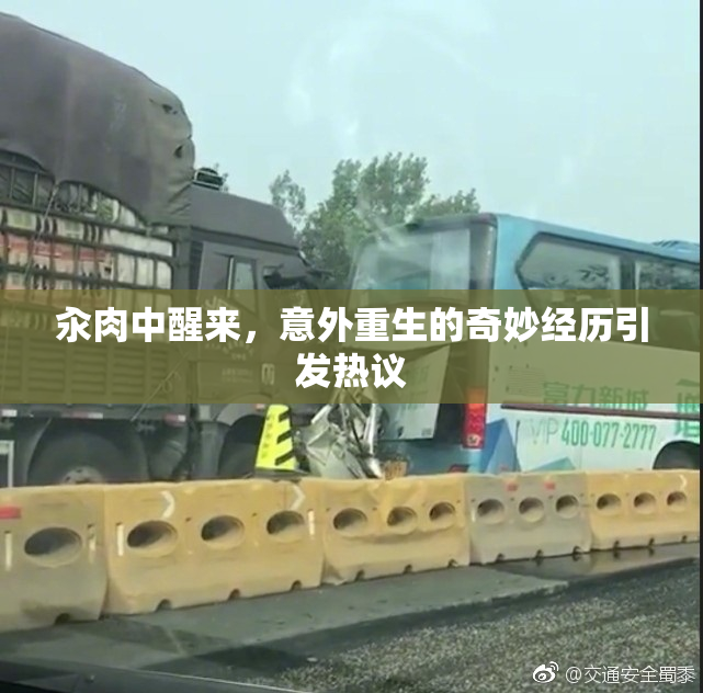 汆肉中醒来，意外重生的奇妙经历引发热议