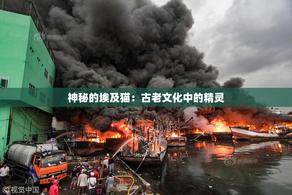 神秘的埃及猫：古老文化中的精灵