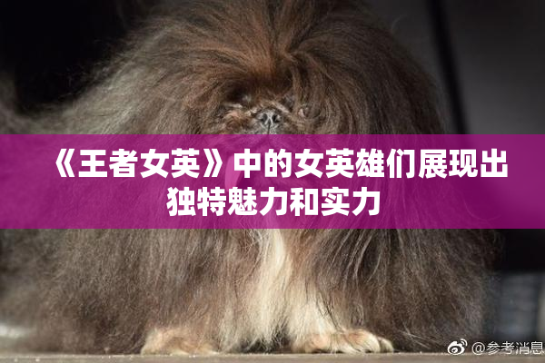 《王者女英》中的女英雄们展现出独特魅力和实力