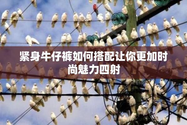 紧身牛仔裤如何搭配让你更加时尚魅力四射