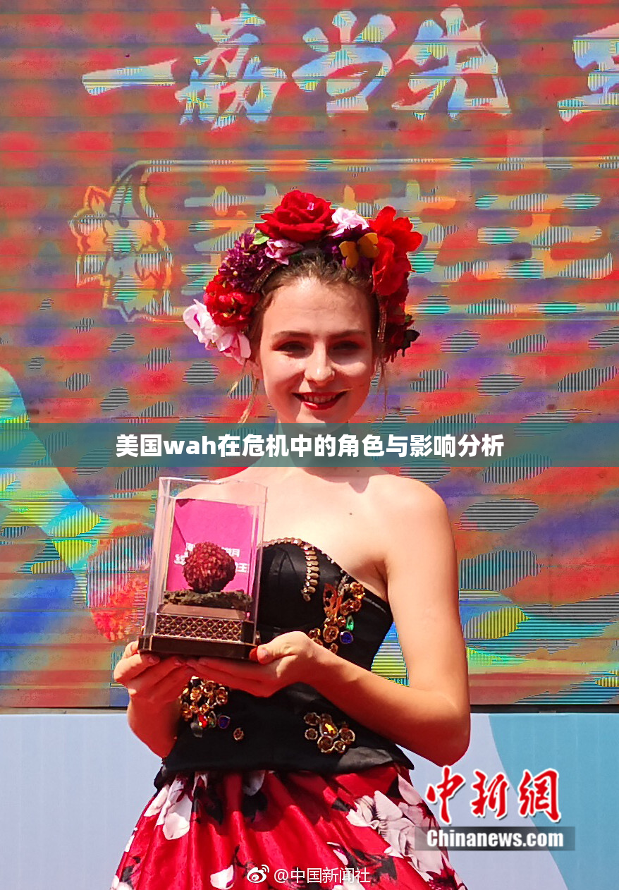 美国wah在危机中的角色与影响分析