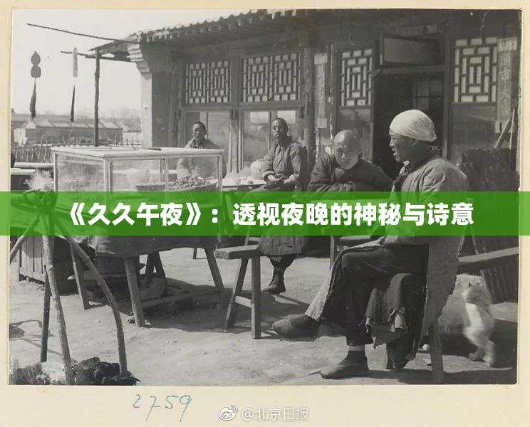 《久久午夜》：透视夜晚的神秘与诗意