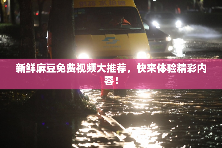 新鲜麻豆免费视频大推荐，快来体验精彩内容！