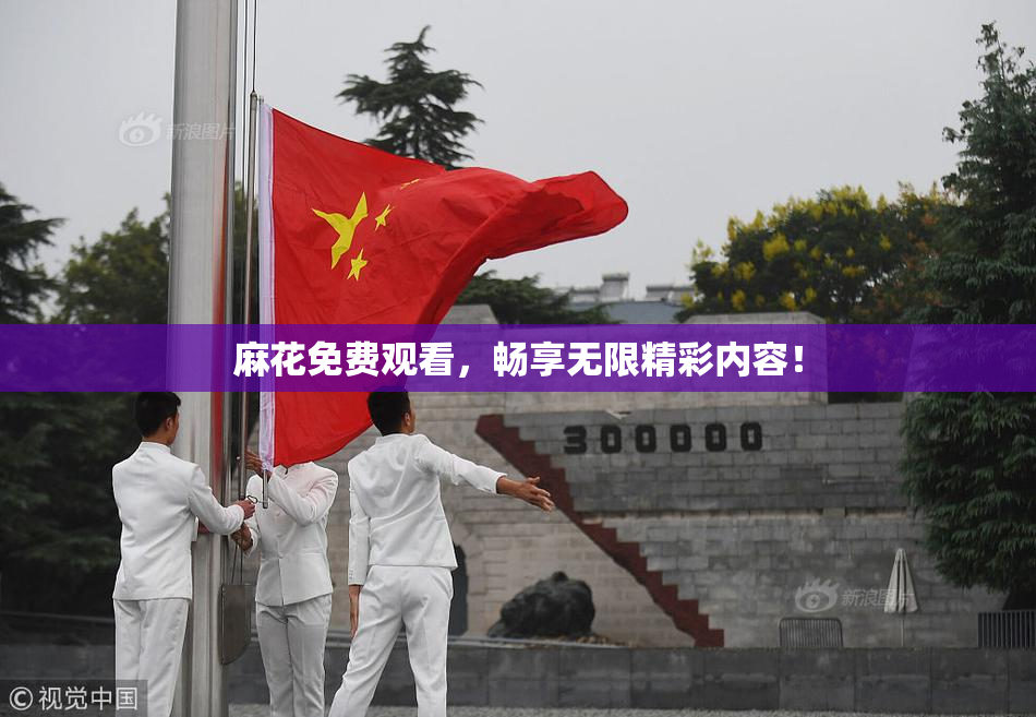 麻花免费观看，畅享无限精彩内容！