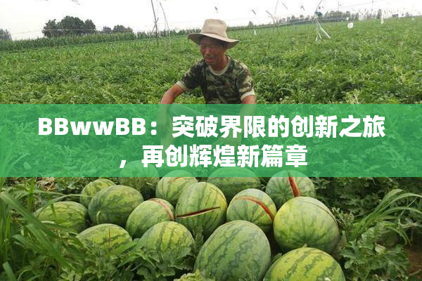 BBwwBB：突破界限的创新之旅，再创辉煌新篇章