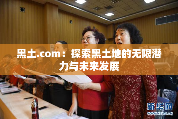 黑土.com：探索黑土地的无限潜力与未来发展
