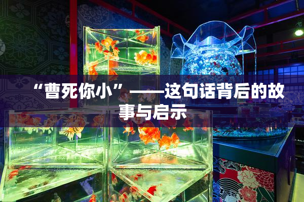 “曹死你小”——这句话背后的故事与启示