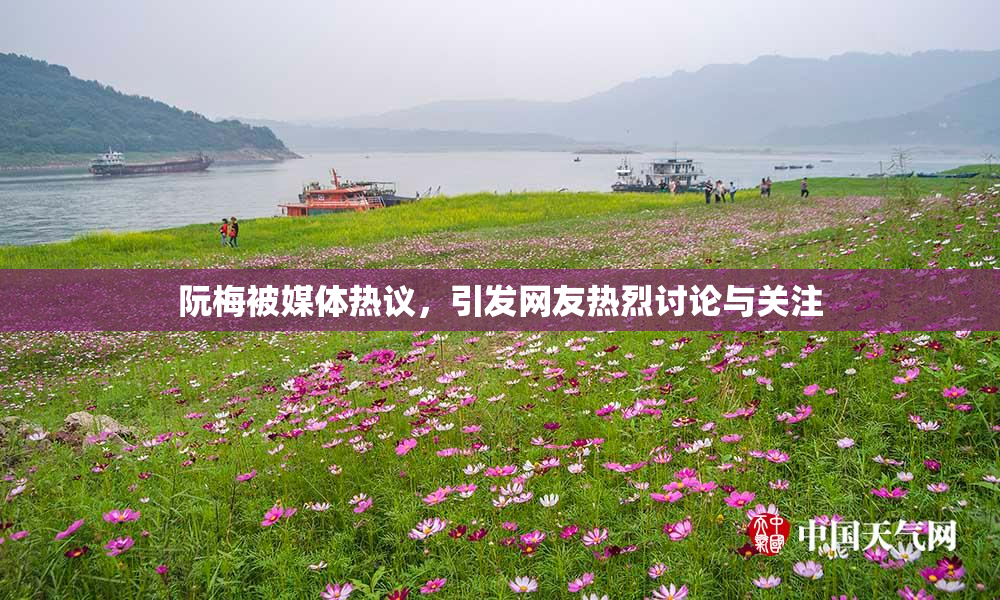 阮梅被媒体热议，引发网友热烈讨论与关注