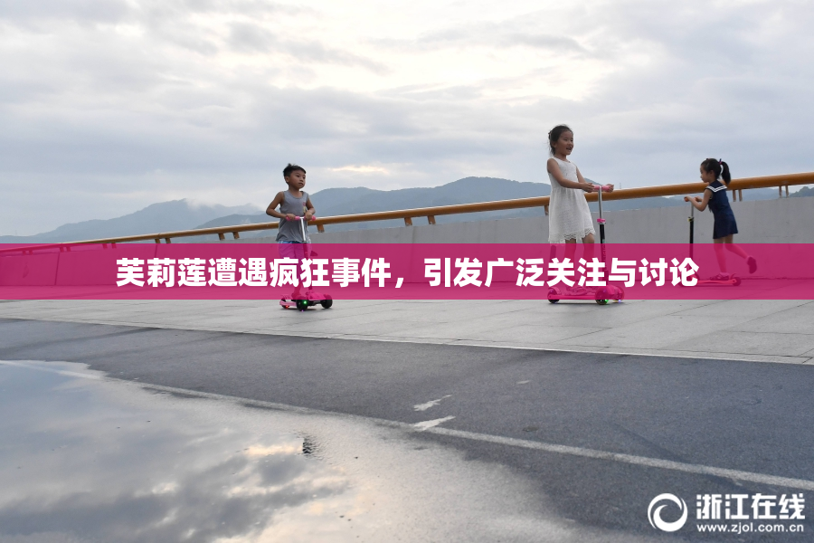 芙莉莲遭遇疯狂事件，引发广泛关注与讨论