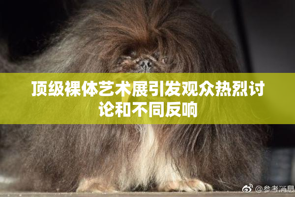 顶级裸体艺术展引发观众热烈讨论和不同反响
